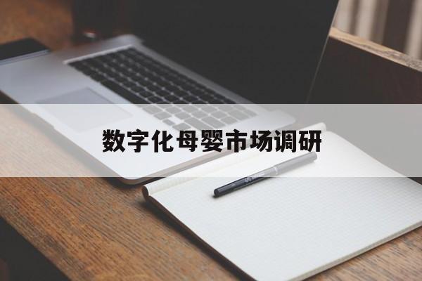 滁州市数字化母婴市场调研(数字化母婴市场调研报告)